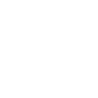 horse white
